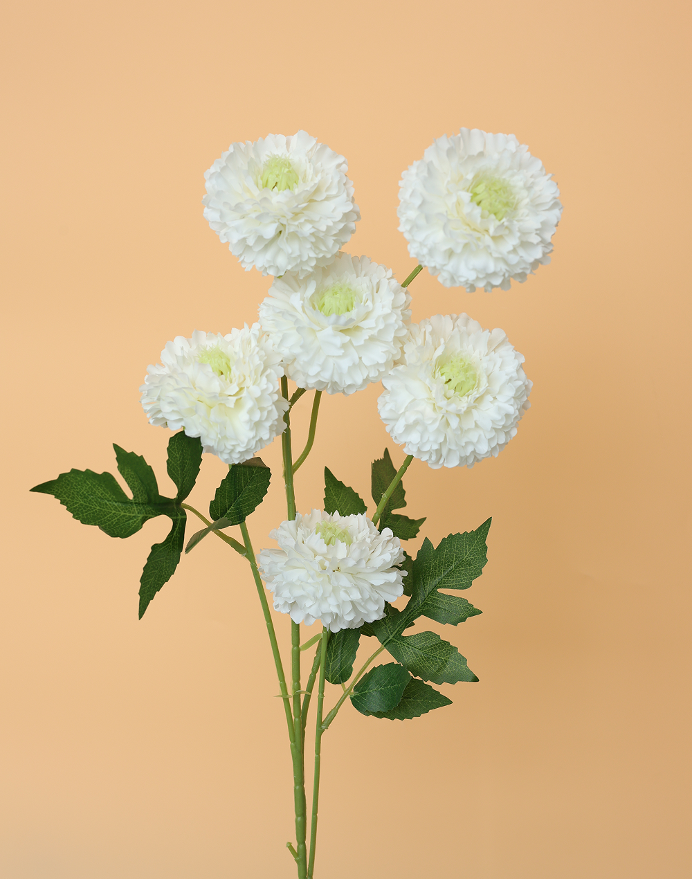 White 6-Head Pompom Spray