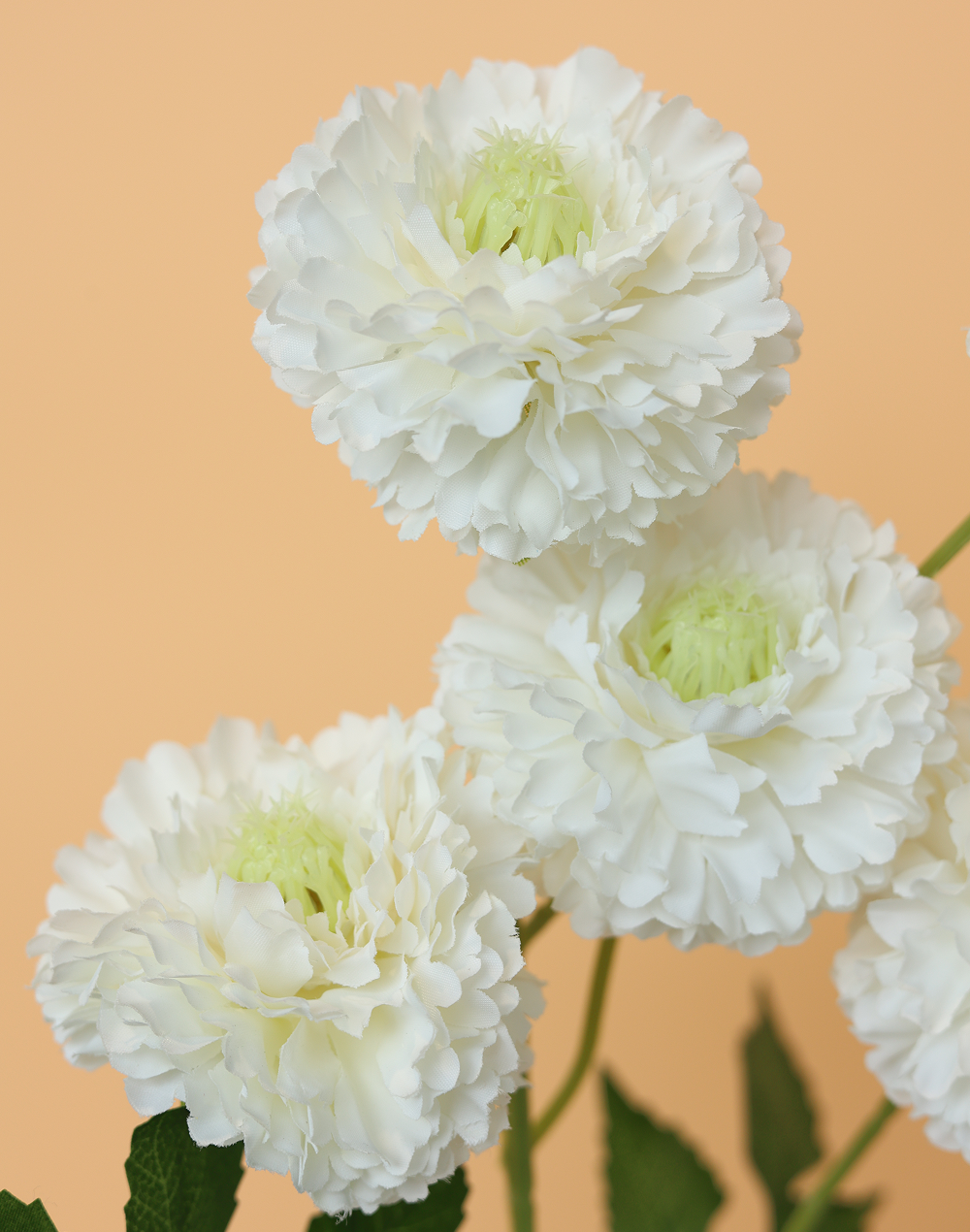 White 6-Head Pompom Spray