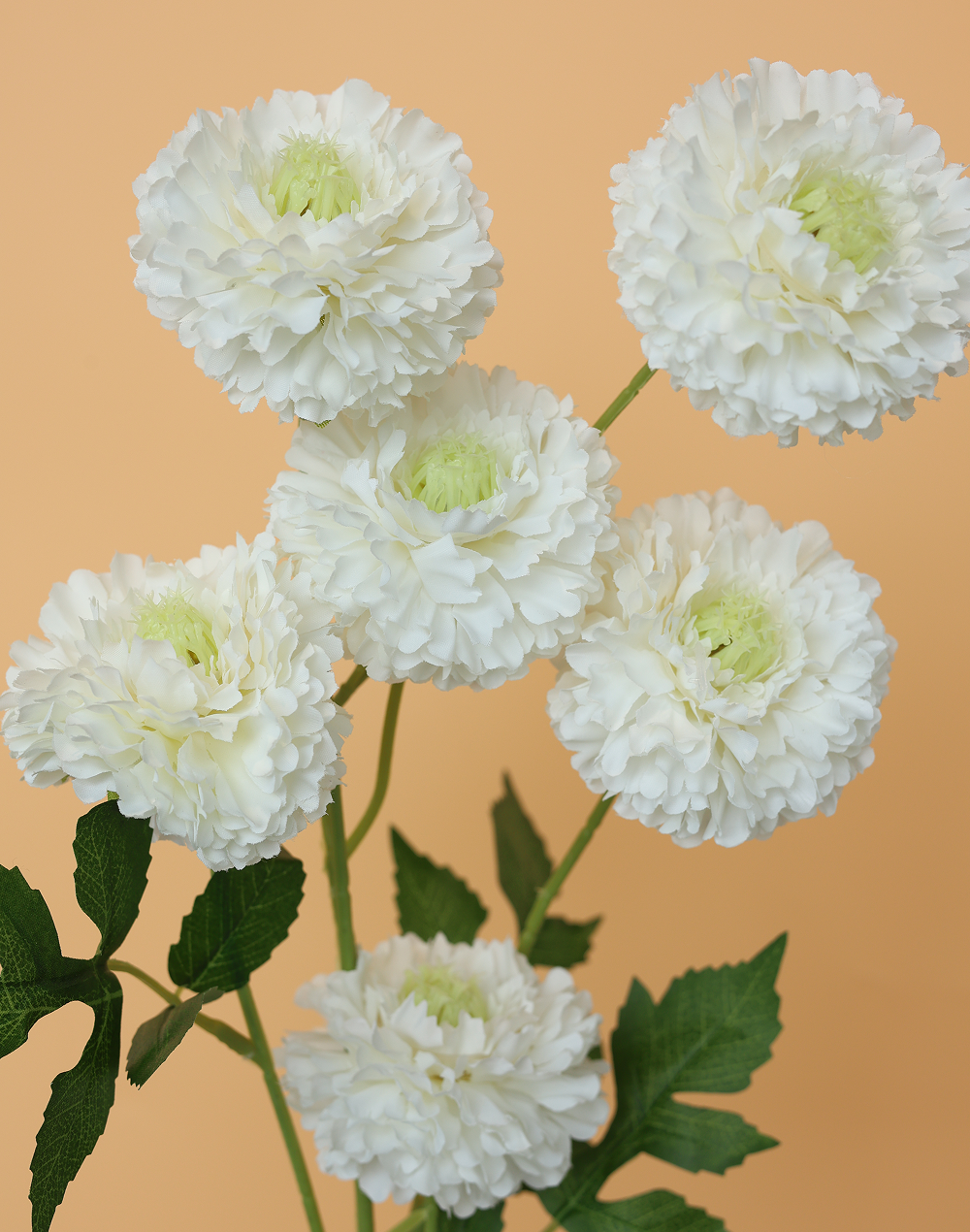 White 6-Head Pompom Spray