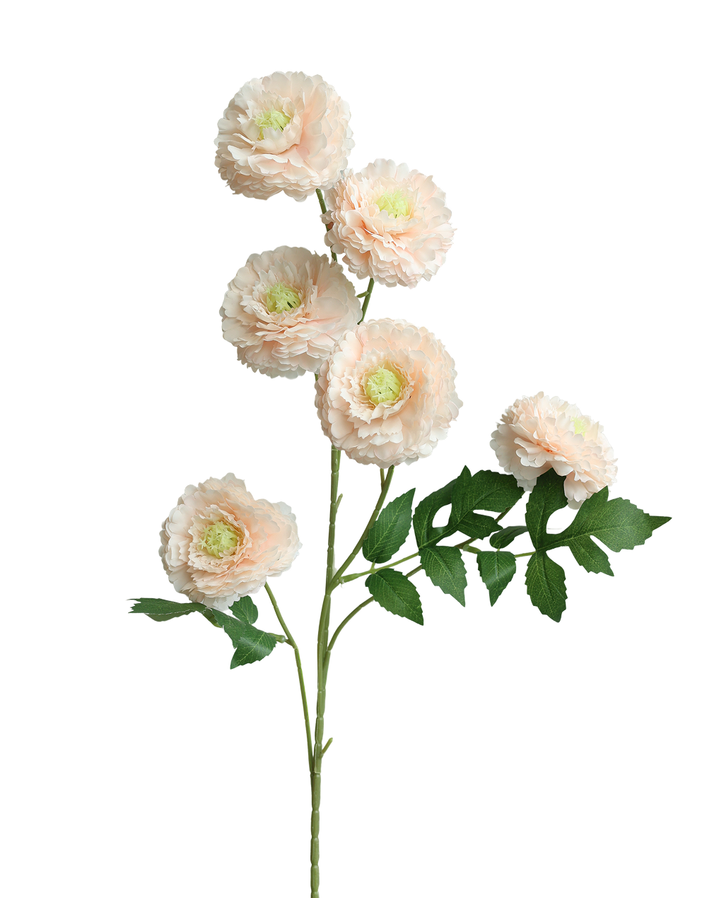 Blush 6-Head Pompom Spray