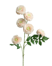 Blush 6-Head Pompom Spray