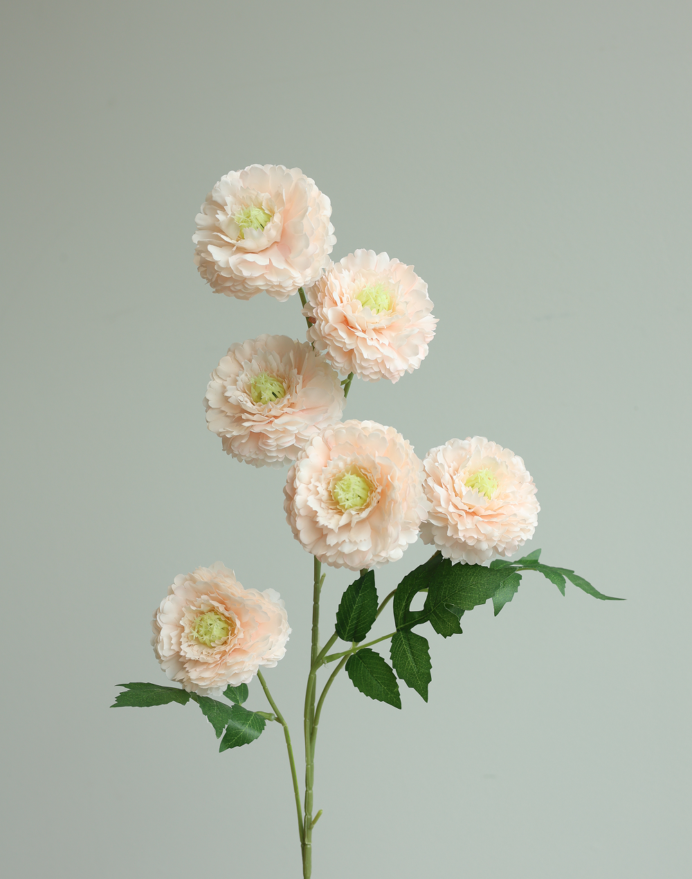 Blush 6-Head Pompom Spray