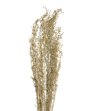 Flax