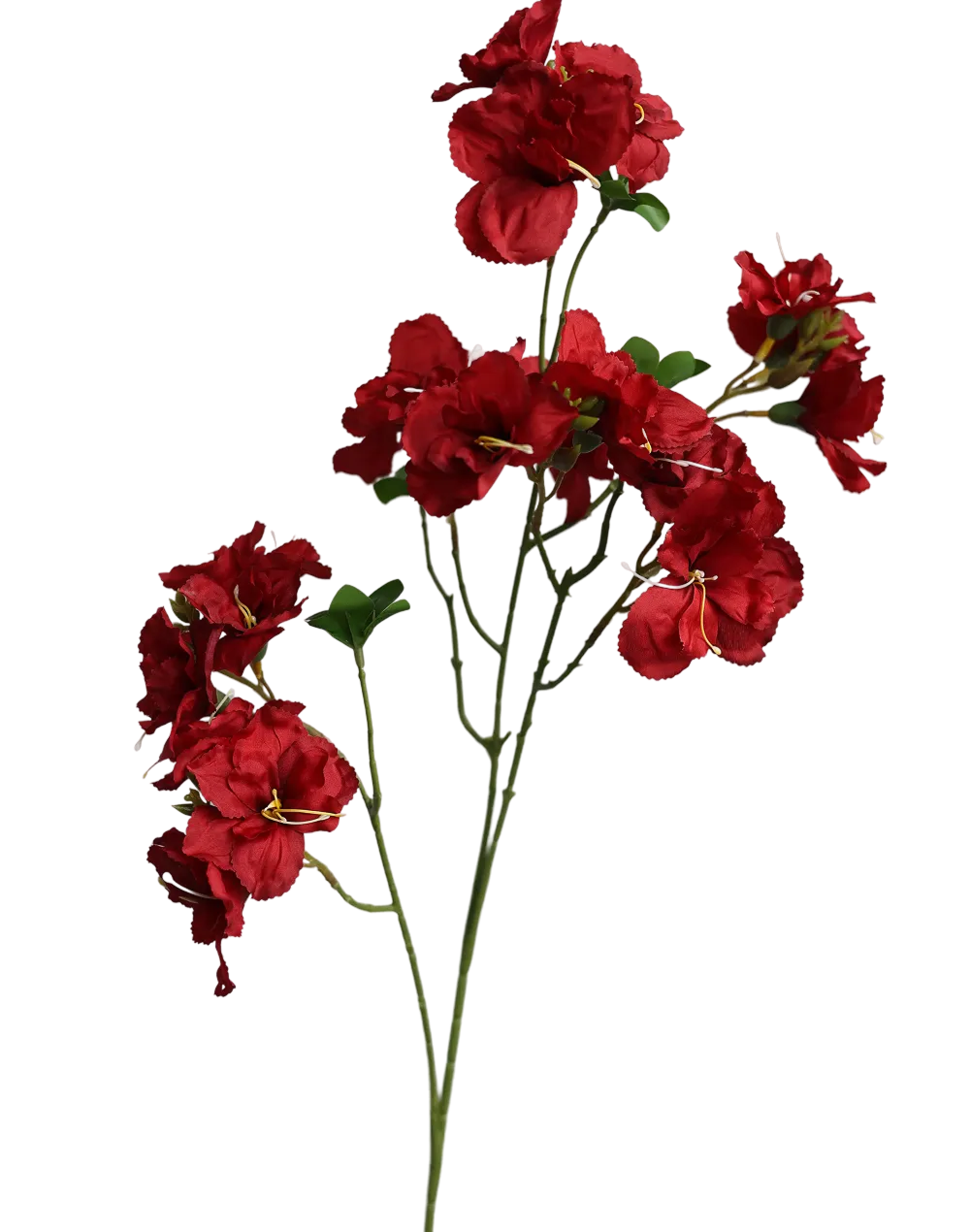 Red Bougainvillea-33" Red