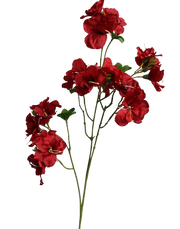 Red Bougainvillea-33" Red