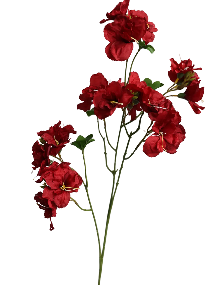Red Bougainvillea-33" Red