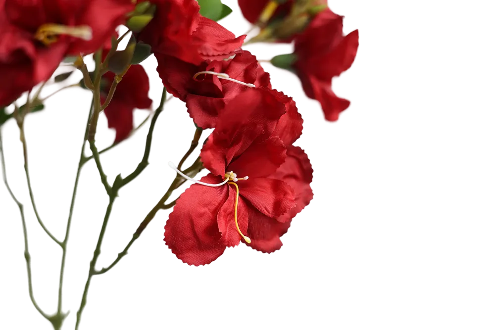 Red Bougainvillea-33" Red