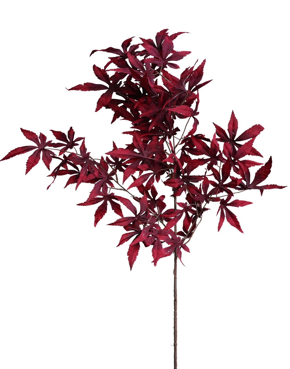 Red Autumn Bunch-37"