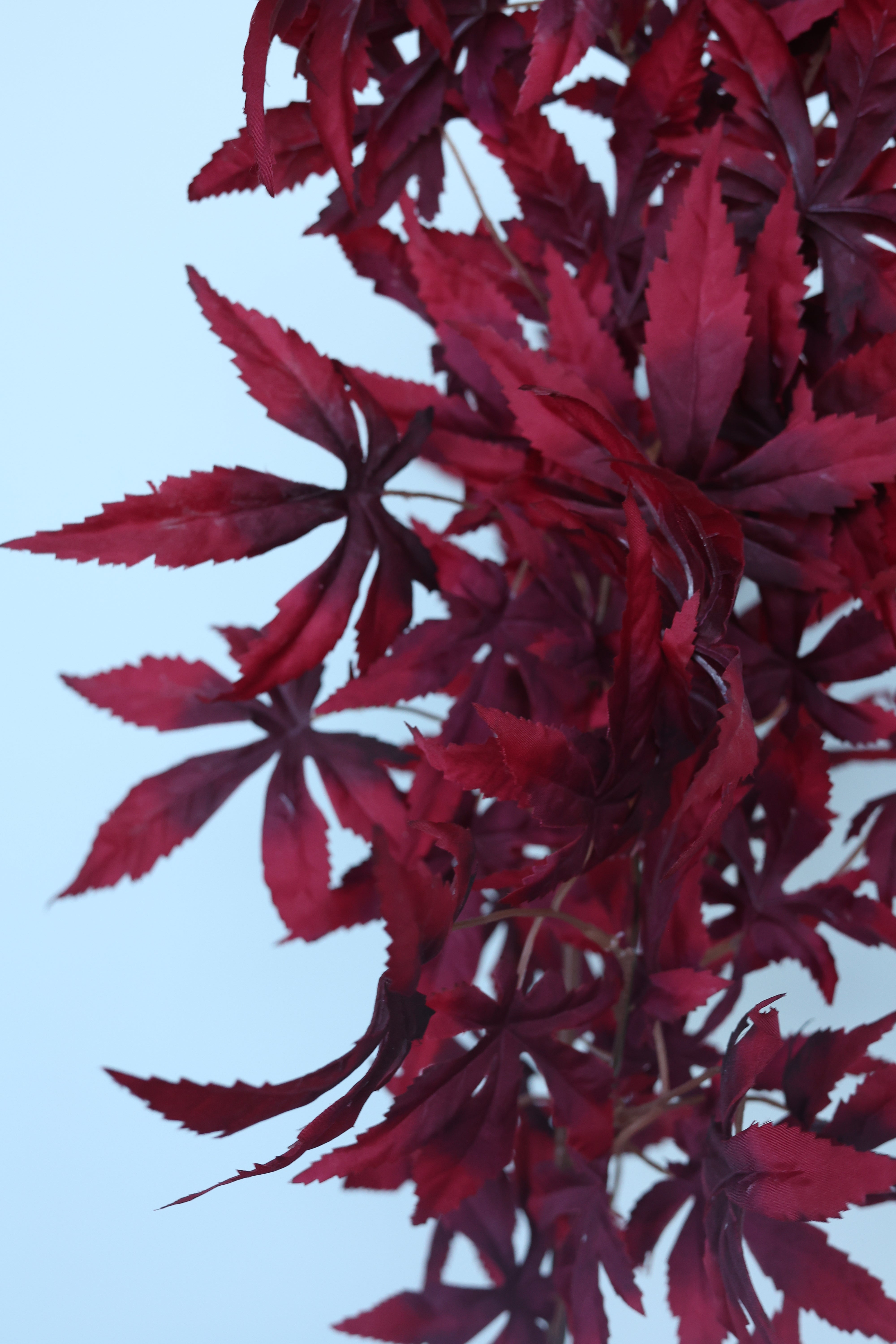 Red Autumn Bunch-37"