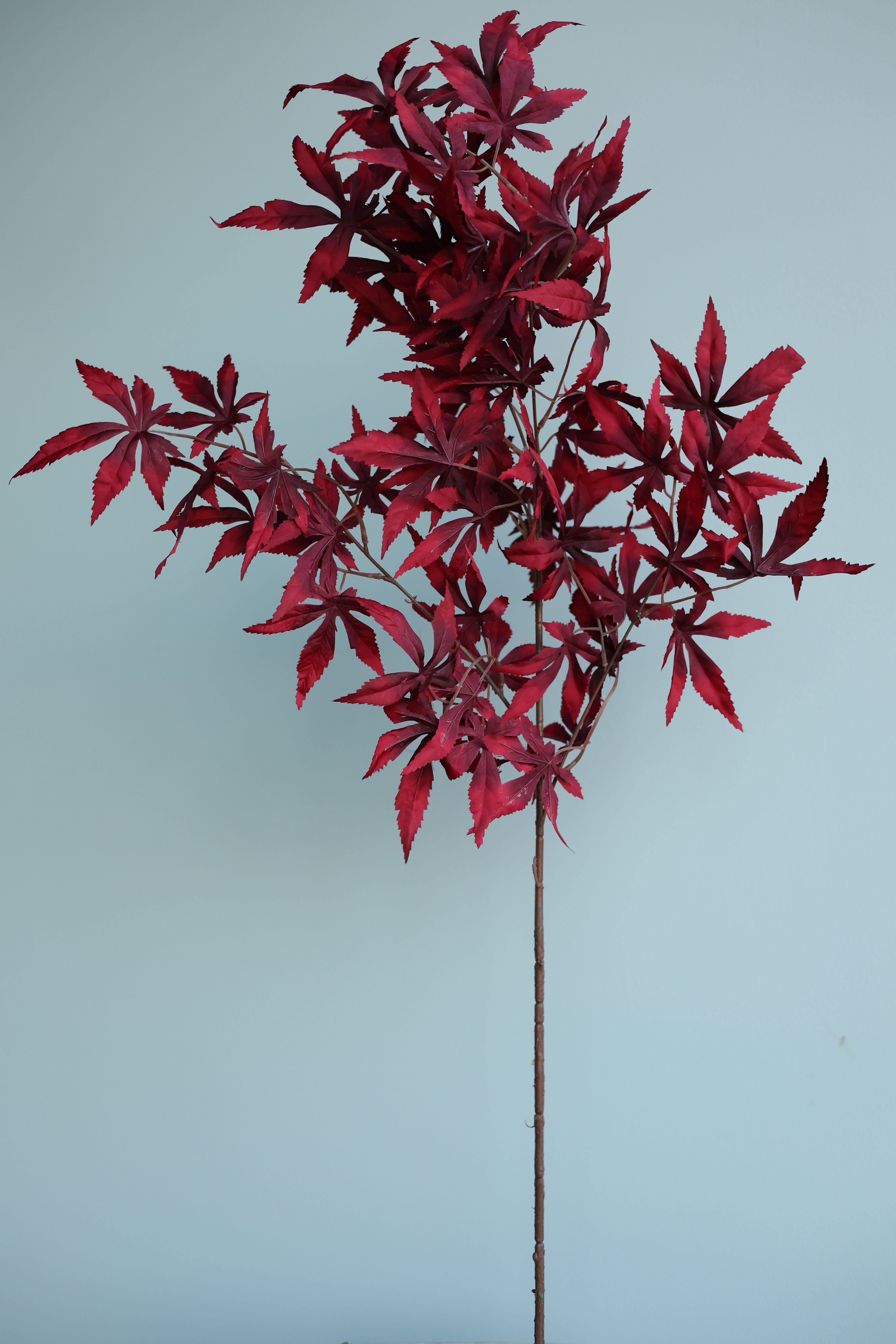 Red Autumn Bunch-37"