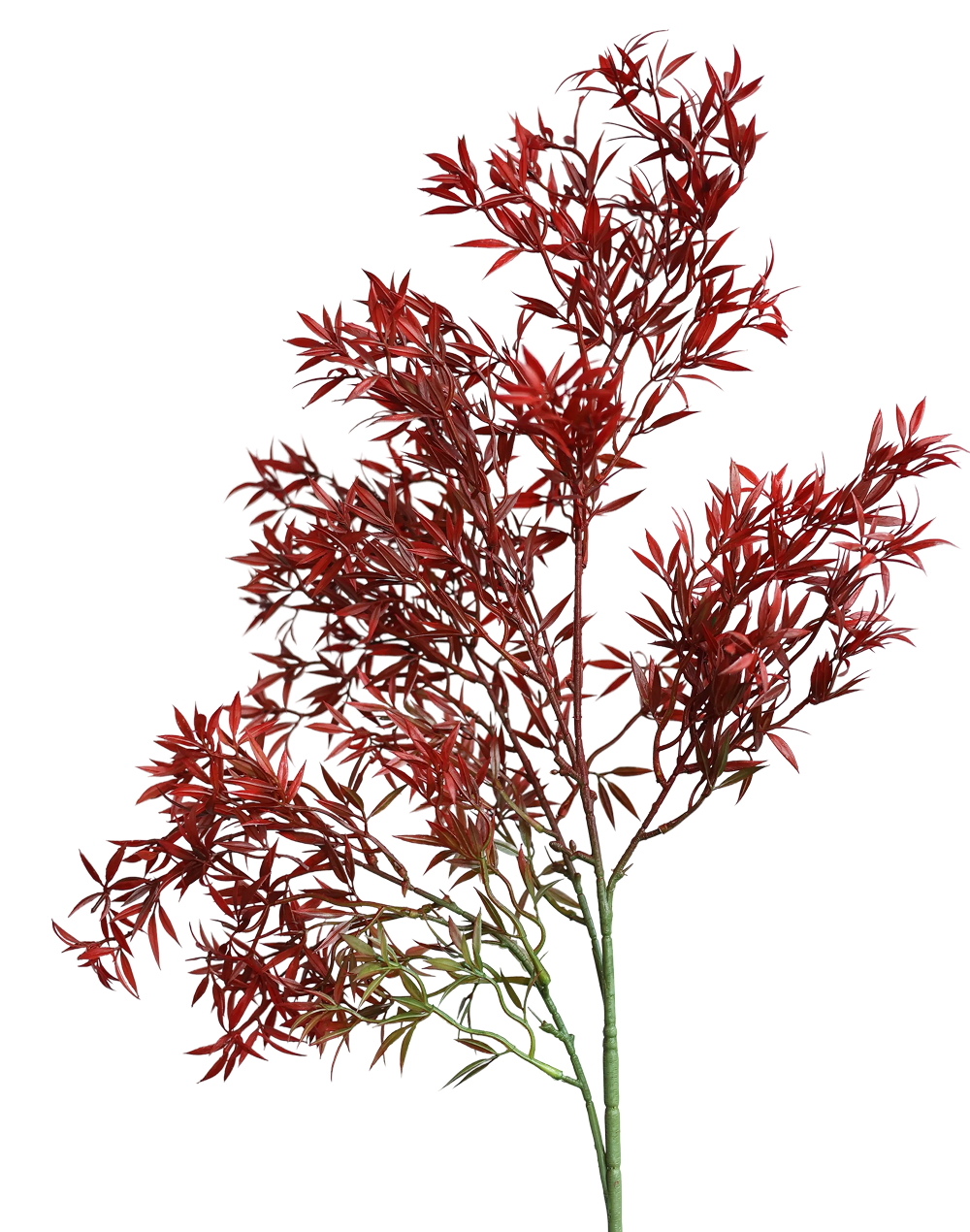 Red Japenese Maple Leaf- 37"
