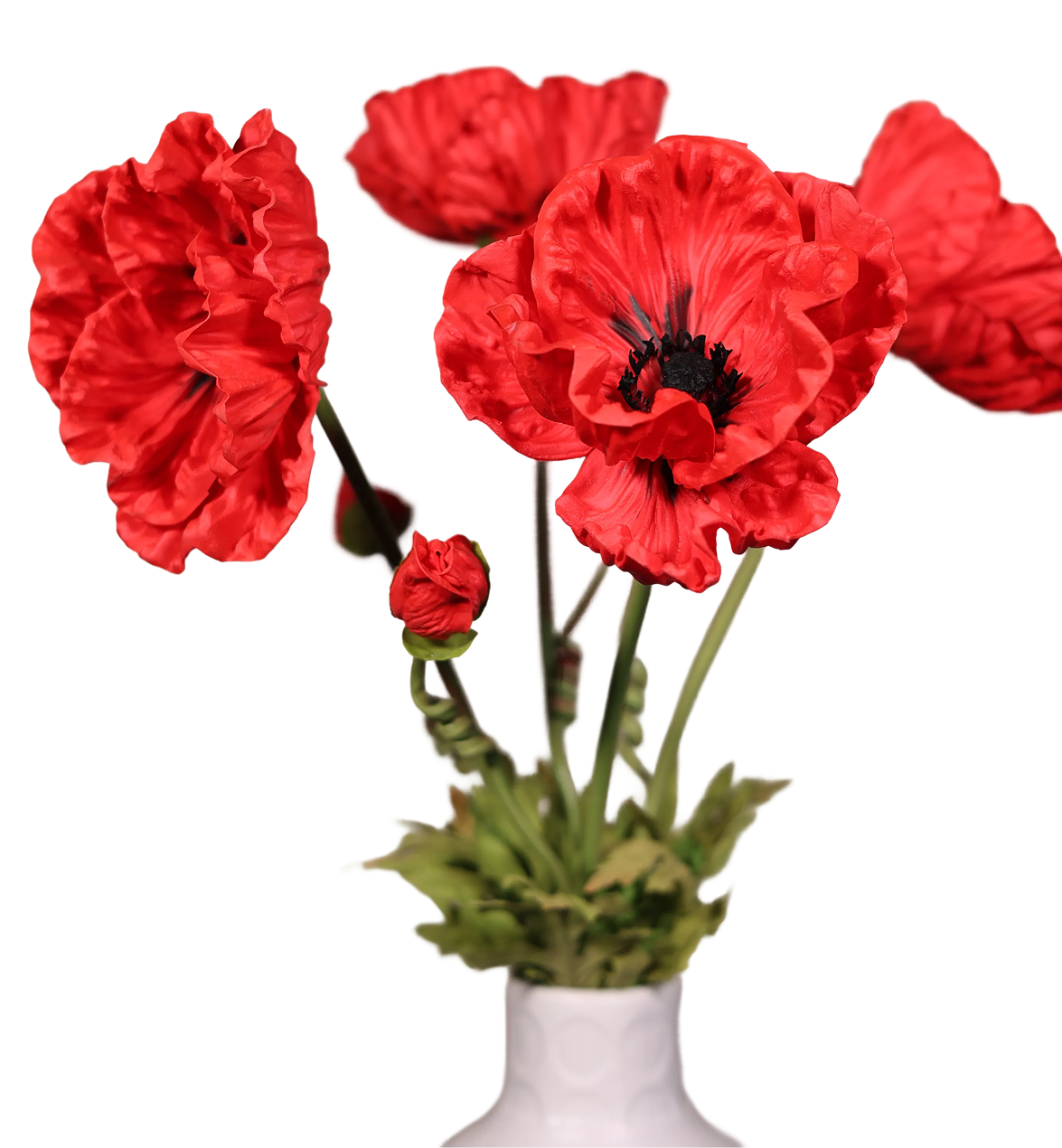 Red Poppy-33"