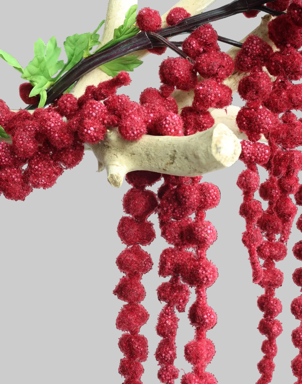 Amaranthus Dried