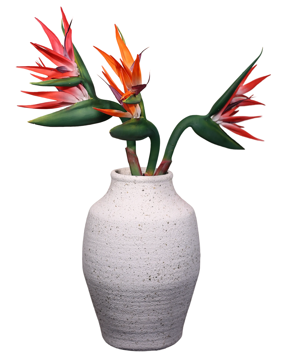 Bird of Paradise (Red) Stielitzia- 48" Red