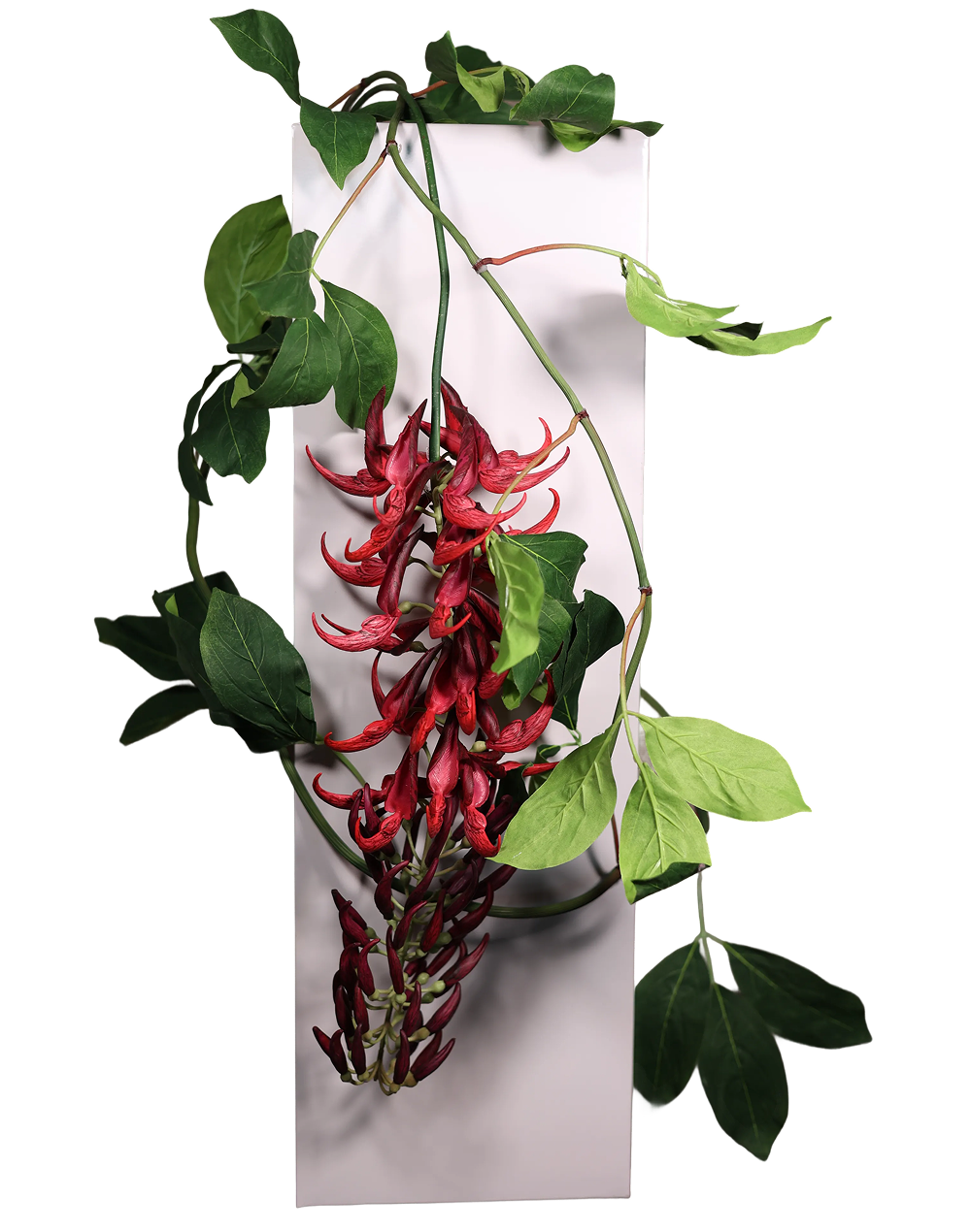Red Jude Vine  96"