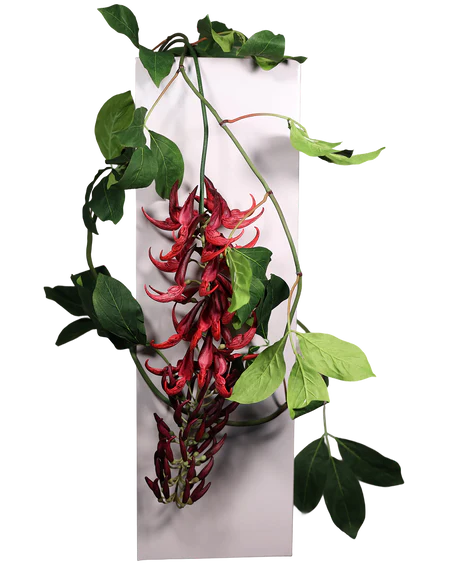 Red Jude Vine  96"