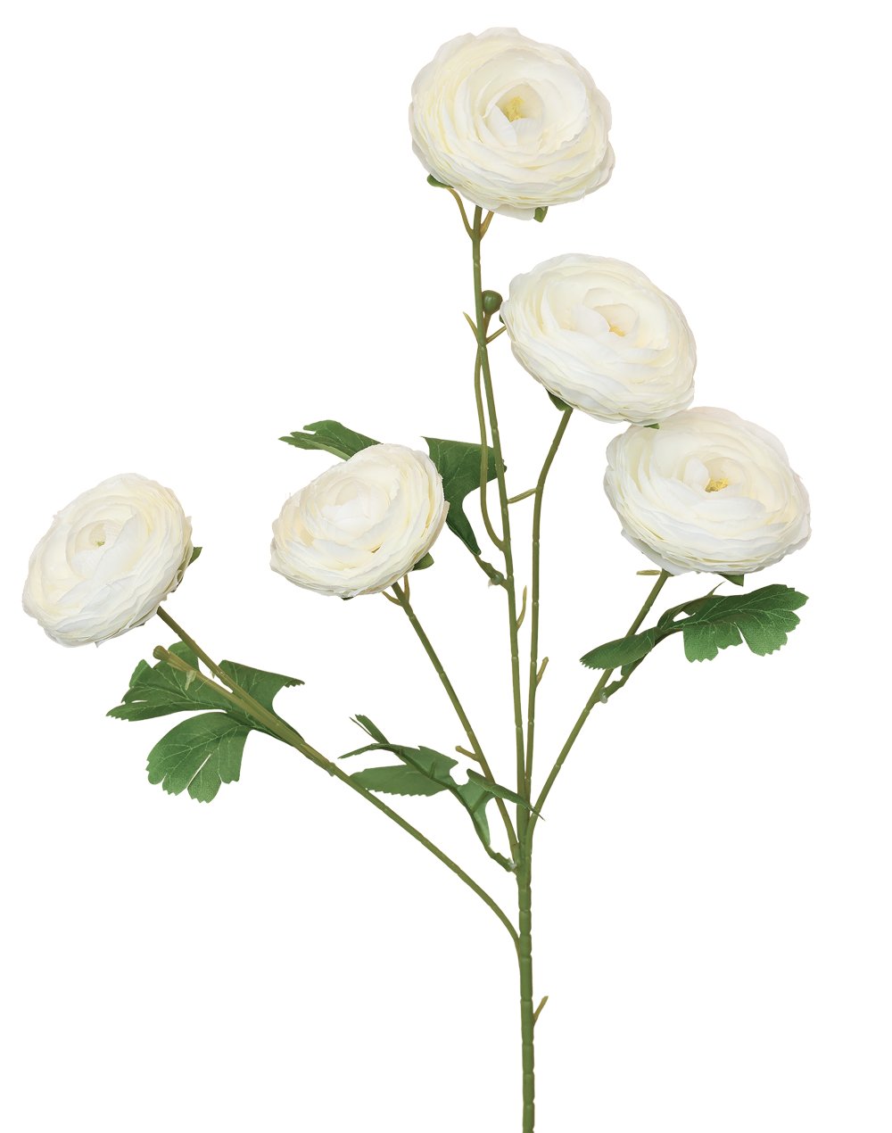 Garden Ranculus | Available in 3 Colors