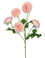 Garden Ranculus | Available in 3 Colors