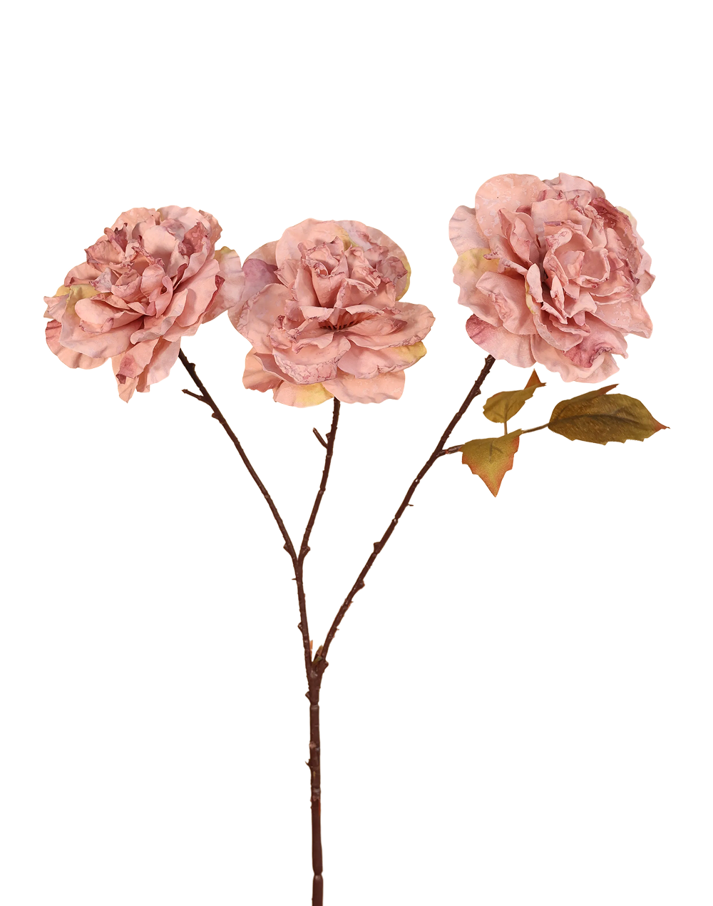 Dried Look Garden Rose | Available in 5 Colors