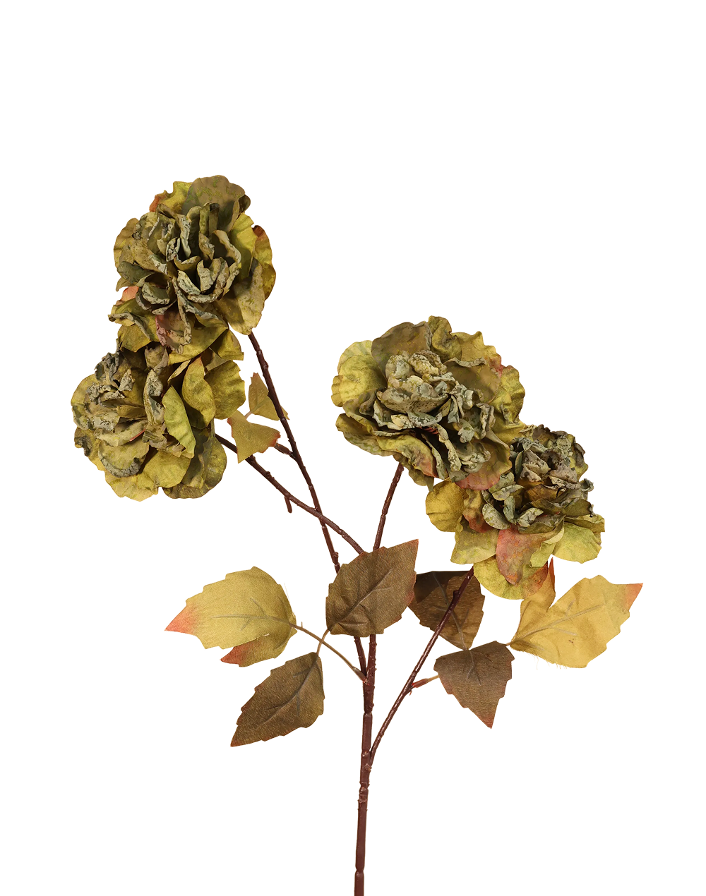 Dried Look Garden Rose | Available in 5 Colors
