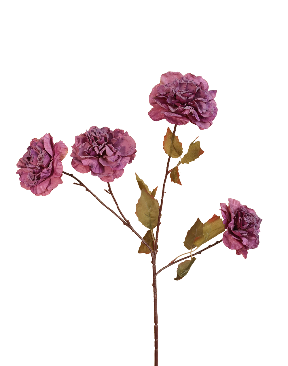 Dried Look Garden Rose | Available in 5 Colors