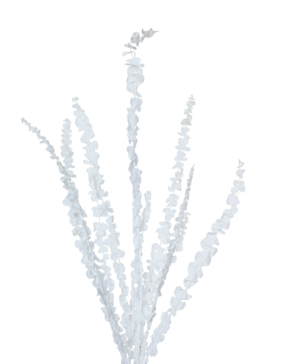Dried Petite Eucalyptus | Available in 6 Colors