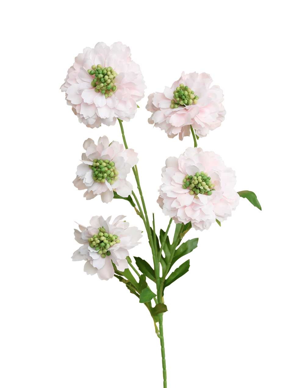 Silk Scabiosa Spray | Available in 5 Colors
