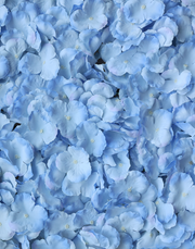 Hydrangea Sheet | Available in 3 Colors