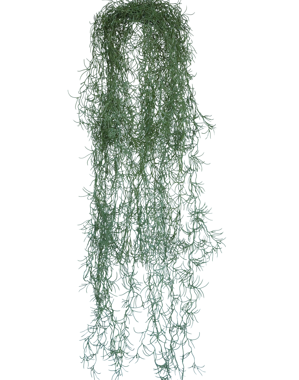 Spanish Hanging Moss | Available in 2 Colors