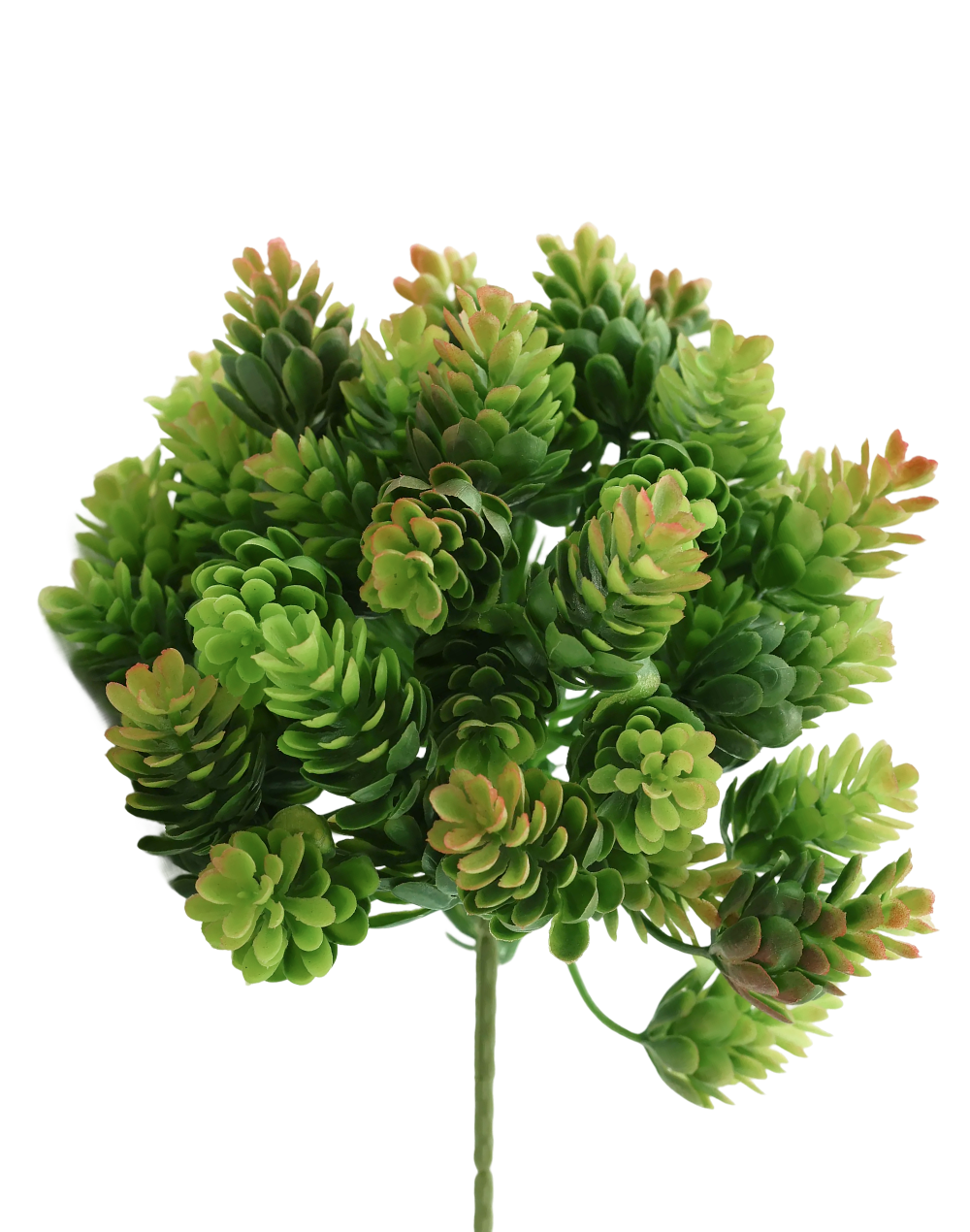Sedum Bush-Green/Amber | Available in 2 Colors