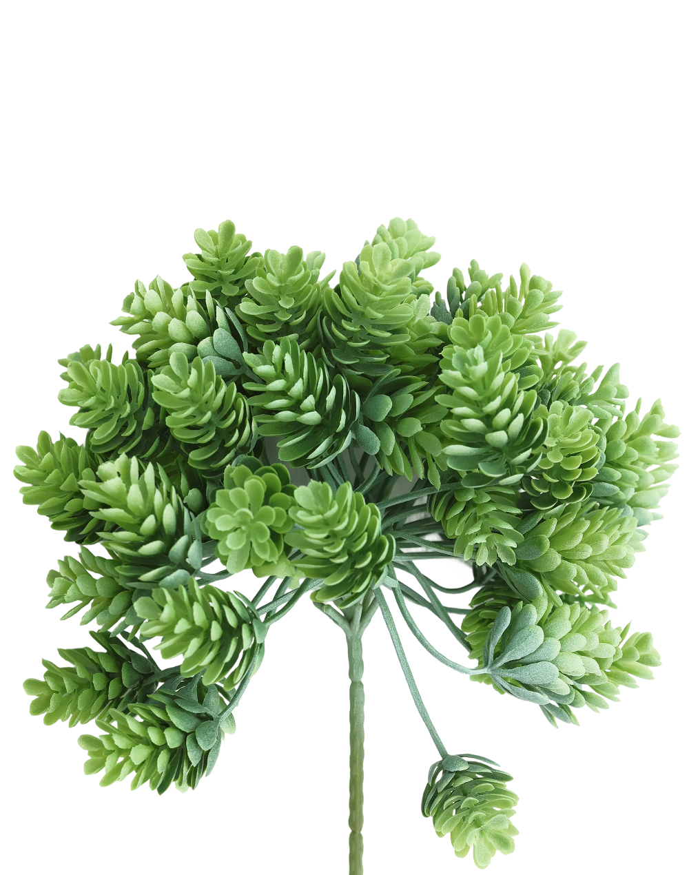 Sedum Bush-Green/Amber | Available in 2 Colors