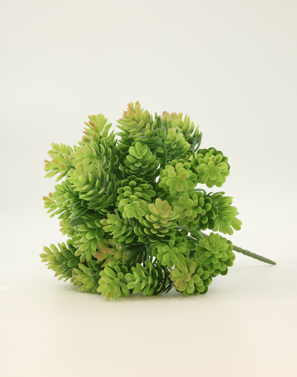 Sedum Bush Green