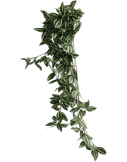 Variegated Leaf Bunch-40"