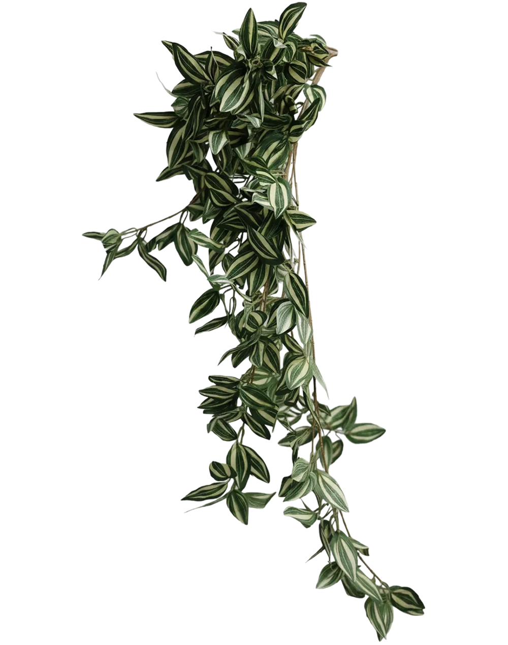 Variegated Leaf Bunch-40"