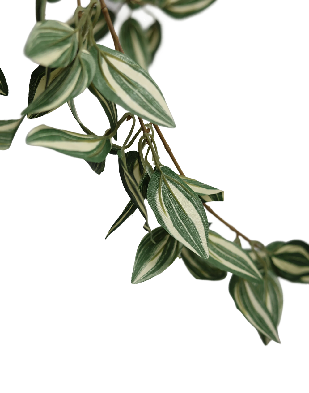 Variegated Leaf Bunch-40"