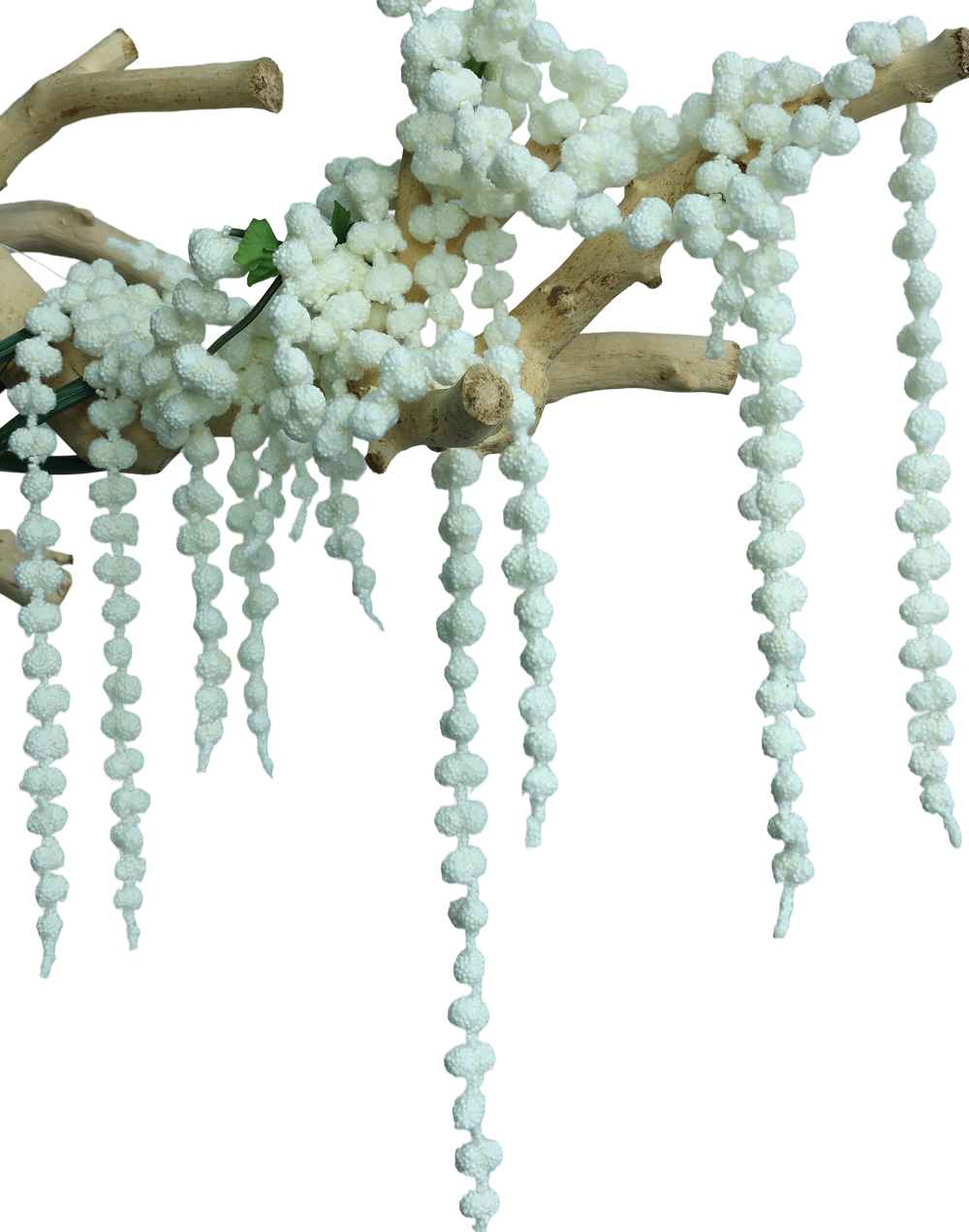 Amaranthus Dried