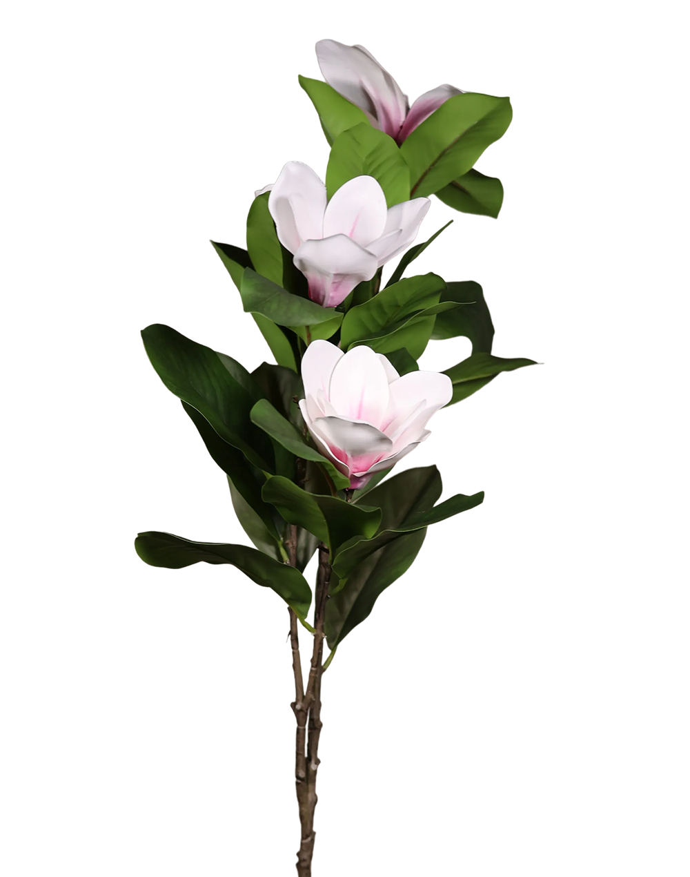 White Magnolia-40"