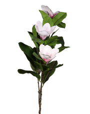 White Magnolia-40"