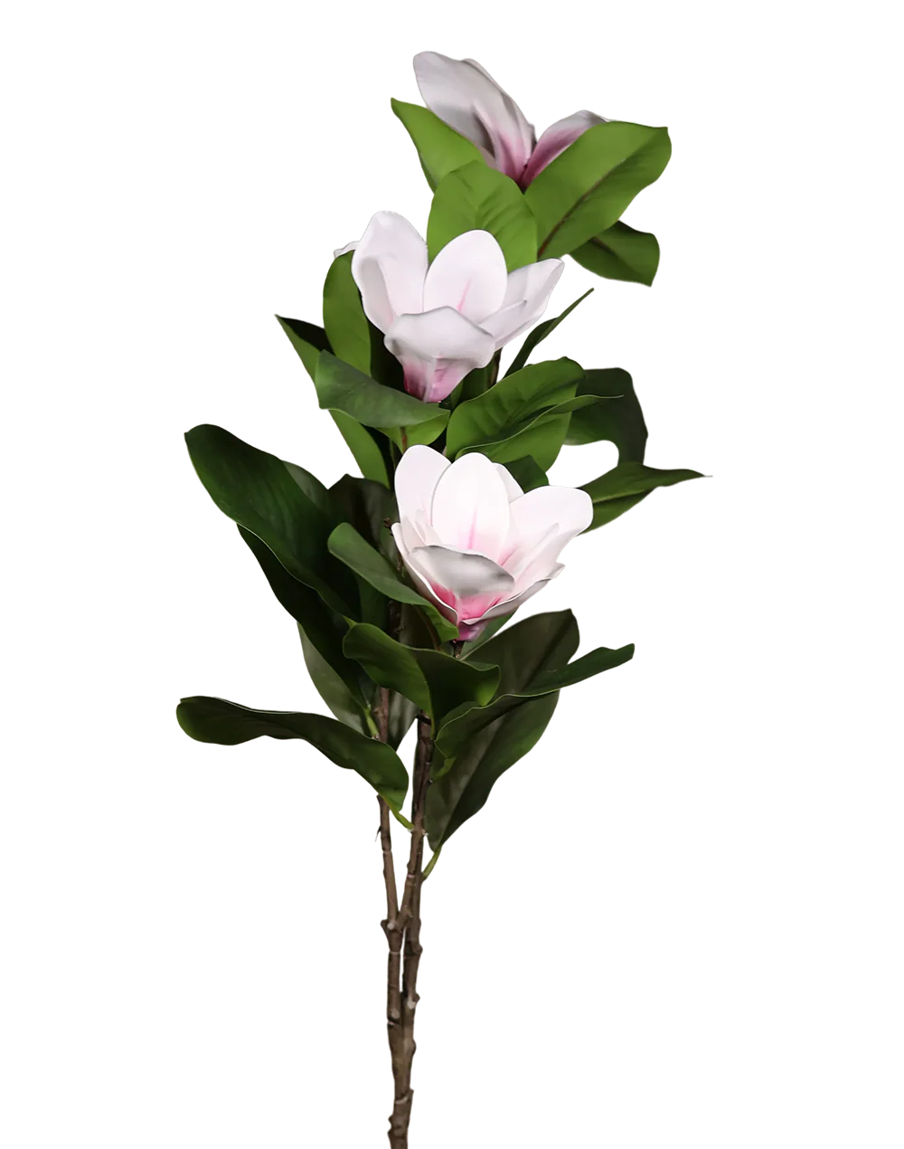 White Magnolia-40"