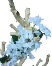 White Bougainvillea Branch-36"
