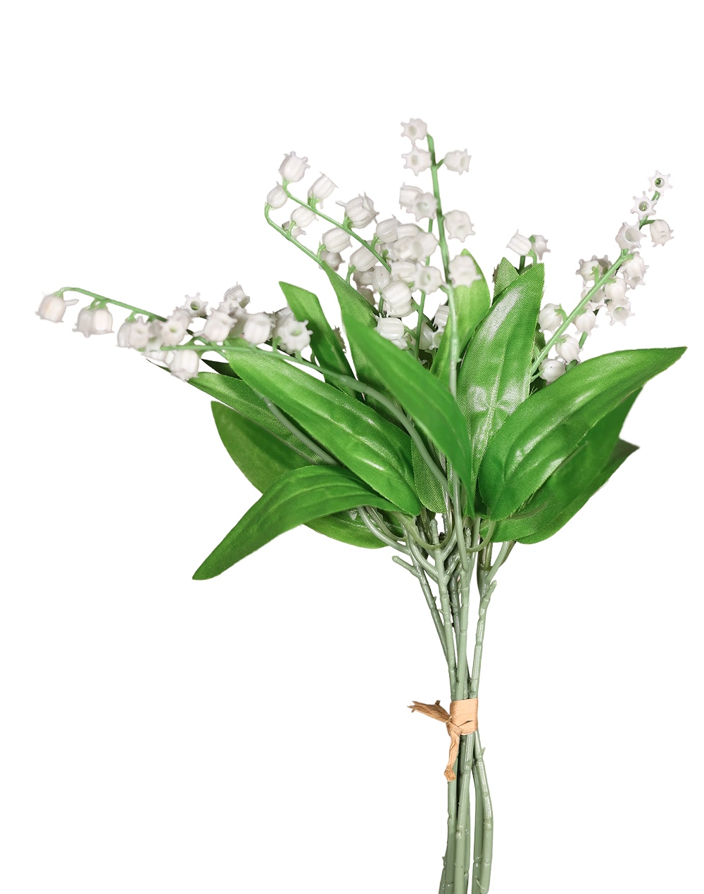 Lily of the Valley-13"