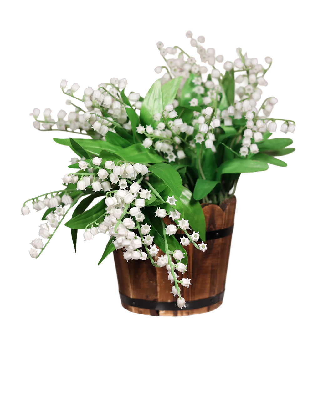 Lily of the Valley-13"