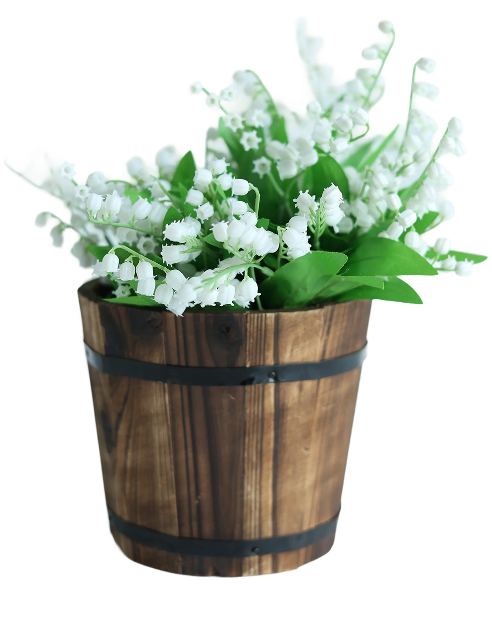 Lily of the Valley-13"