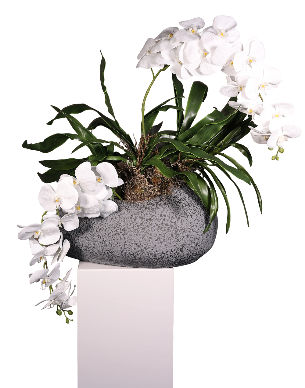 White Phalaenopsis Orchid 15 Bulb 45''Case of 15 Real Touch White