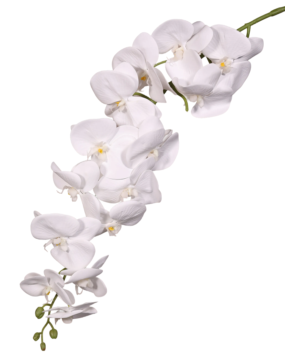 White Phalaenopsis Orchid 15 Bulb 45''Case of 15 Real Touch White