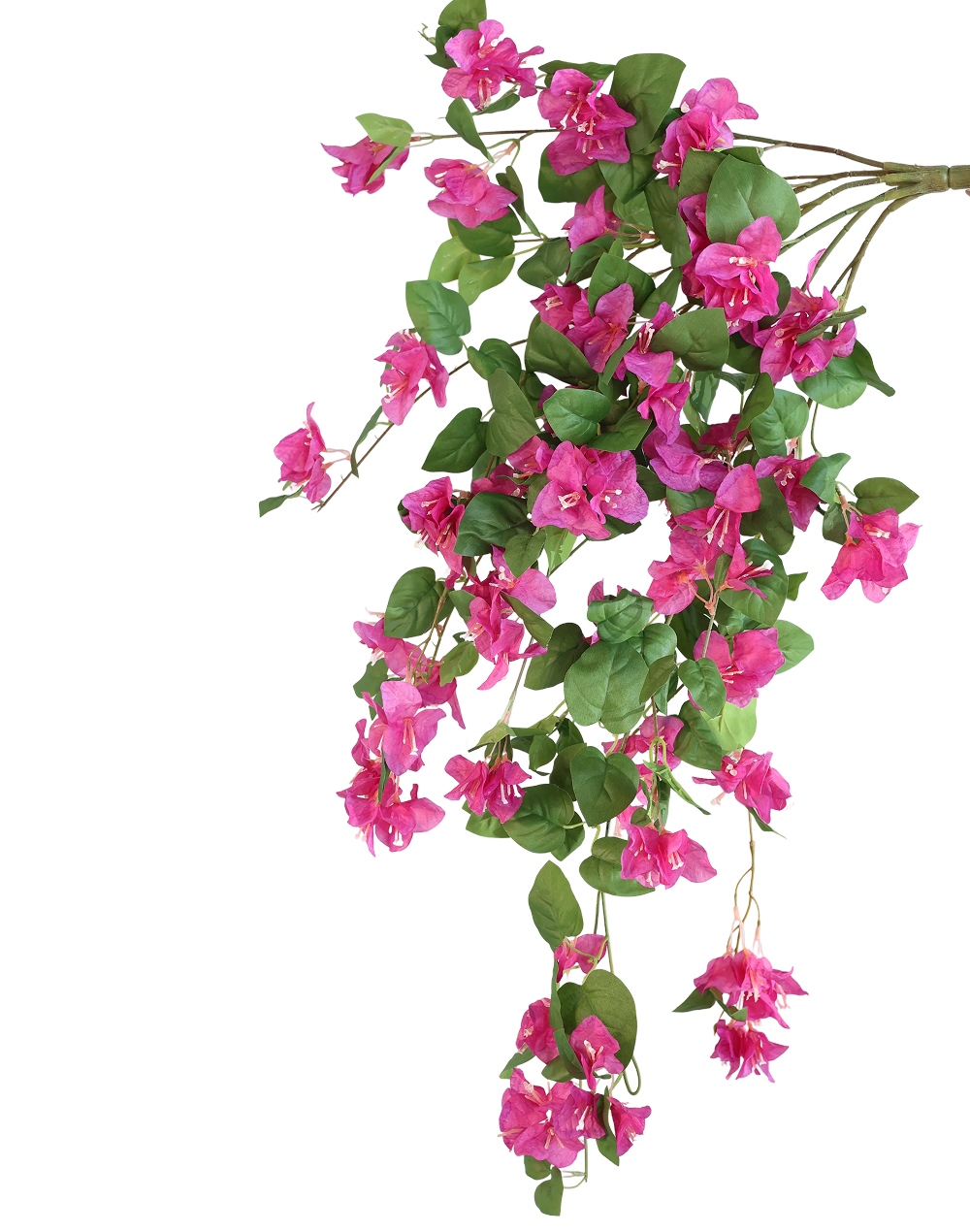 Bougainvillea Bunch 33" | Available in 2 Colors