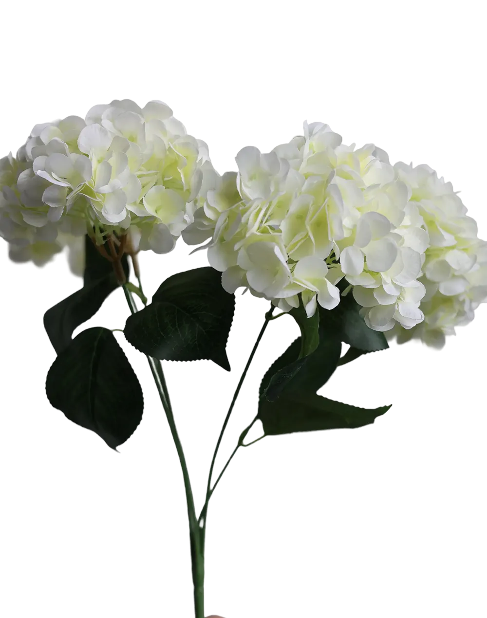 Weeding White Hydrangea Bunch-17.5" White