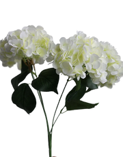 Weeding White Hydrangea Bunch-17.5" White