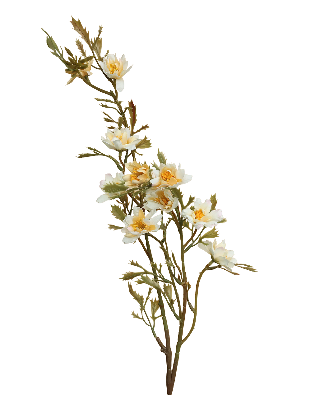 Wild Flowering Branch | Available in 3 Colors