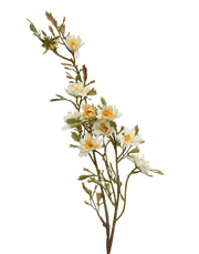 Wild Flowering Branch | Available in 3 Colors